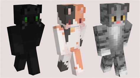 Kitty minecraft skin. Things To Know About Kitty minecraft skin. 